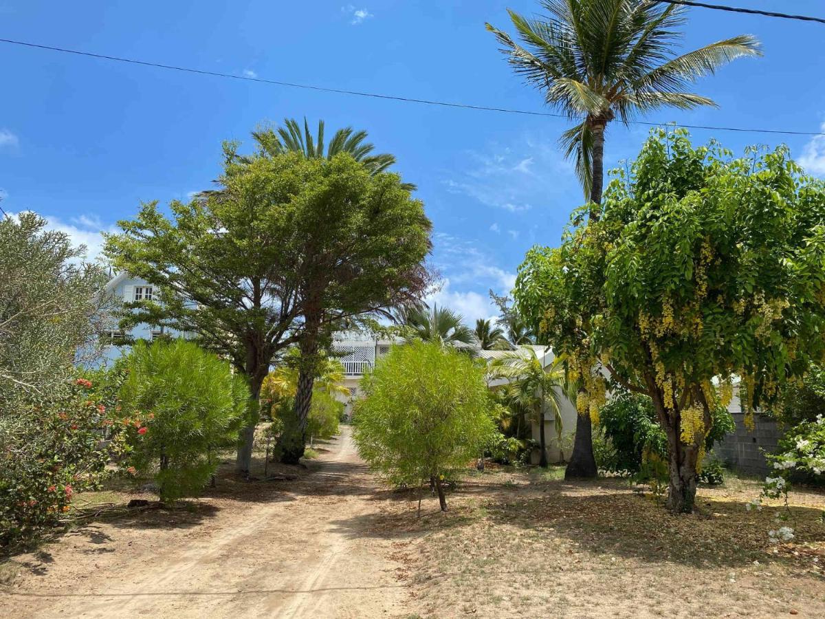 Villa Coco Des Sables Acces Direct Au Lagon La Saline Les Bains Exterior foto